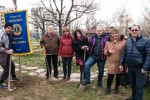 Нови дървесни видове и декоративни храсти засадиха ЛK Стара Загора